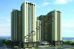 Goldsilk Complex Goldsilk Complex
